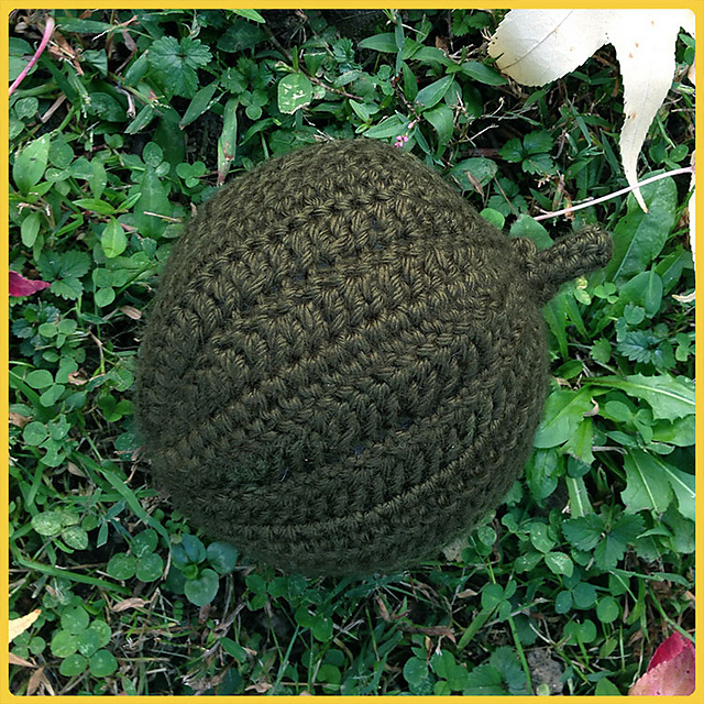 Acorn Squash