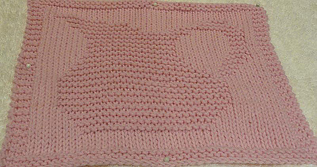 Pitcher Dishcloth