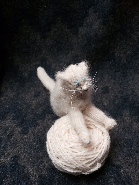 Turkish Cast On Cat