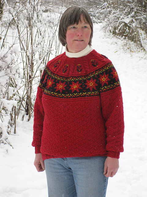 17008 Yoked Pullover