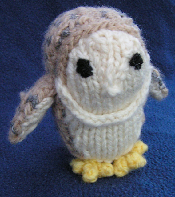 Barn Owl