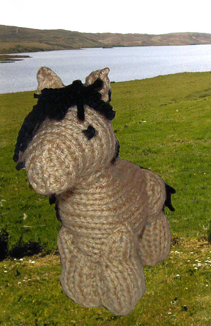 Pony