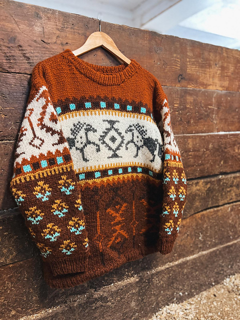 Ravelry: Pinto Horse Sweater pattern by Linka Neumann