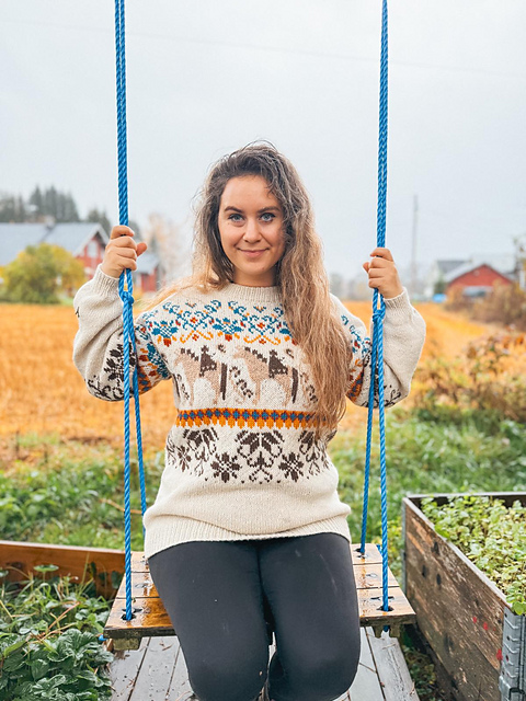 Norwegian Fjord Horse Sweater
