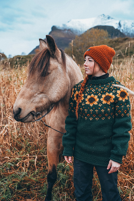 Ravelry: Pokhara POLAR pattern by Linka Neumann