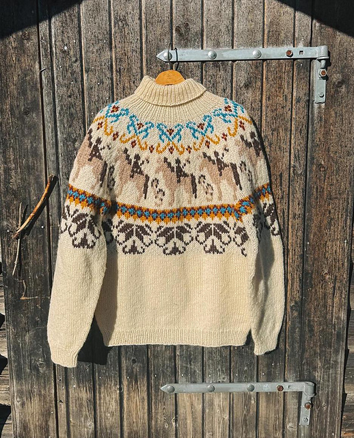 Fjordhorse sweater POLAR