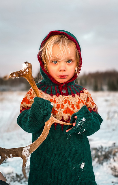 Wilderness Sweater Hoodie Kids
