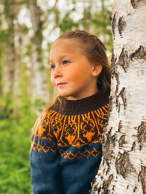 Nordkalotten Kids