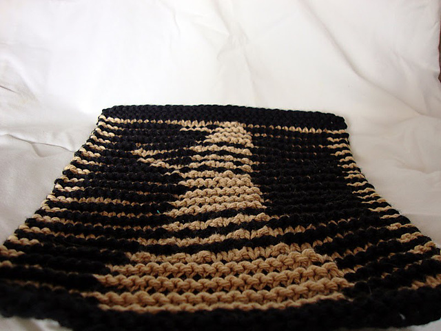 Exterminate Illusion Dishcloth