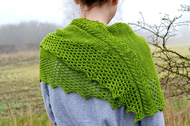 Salad Shawl