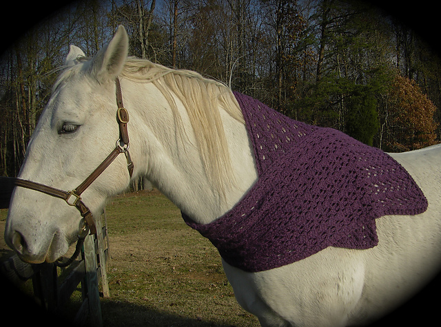 Rocchina's Wrap (Alpaca Lace)