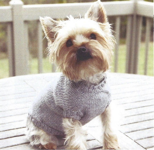 Double Trouble Dog Sweaters