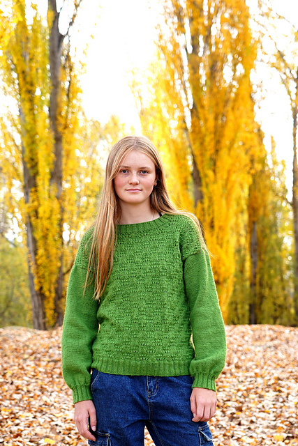 Ravelry: Sabine Sweater - Hc56 pattern by Lisa Craig