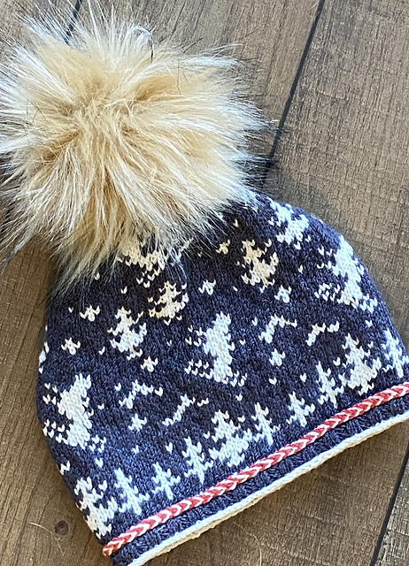 Ski Day Hat