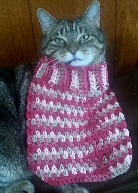 Wheezy Breezy Baby Bib