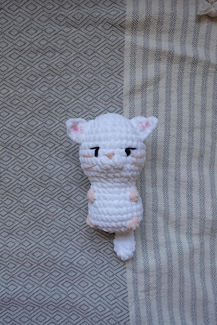 baby cat