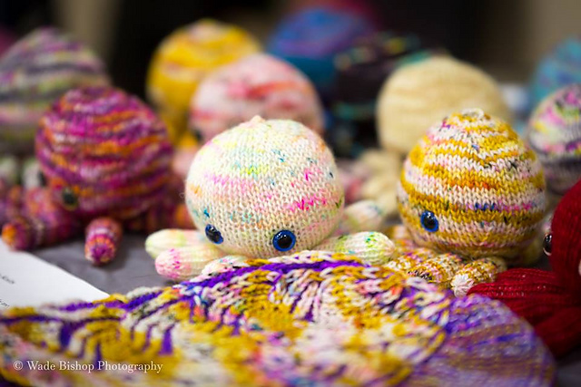 Baby octopus