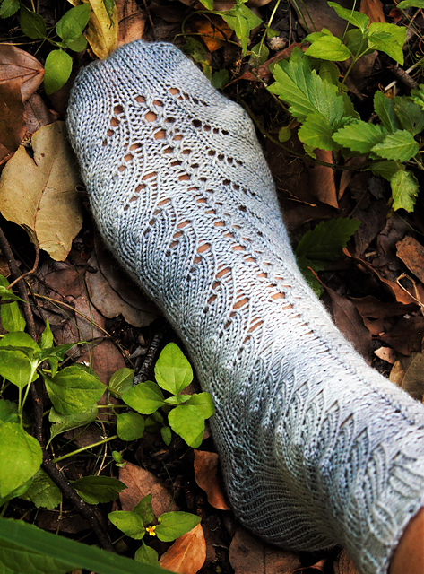 Ferny Grove Socks