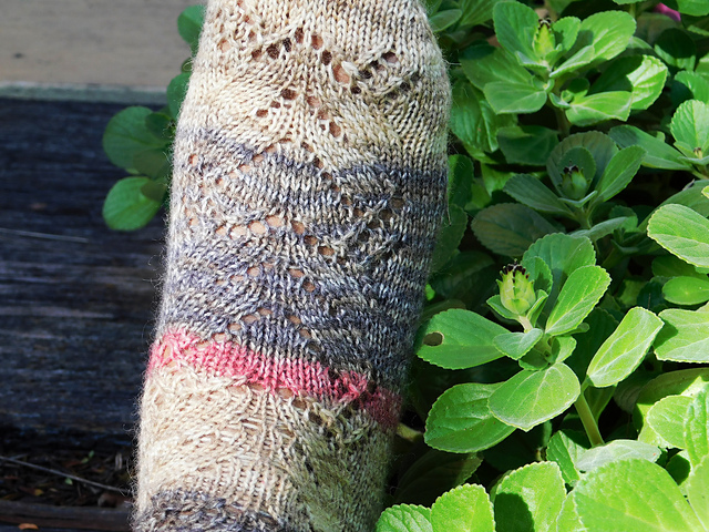 Esther Toe Up Socks
