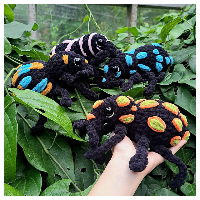 Begonia the Pachyrhynchus weevil