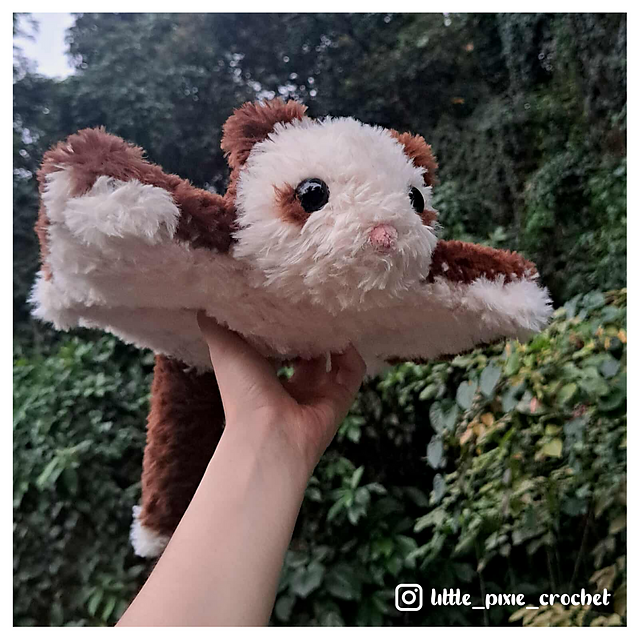 Chestnut the flying squirrel