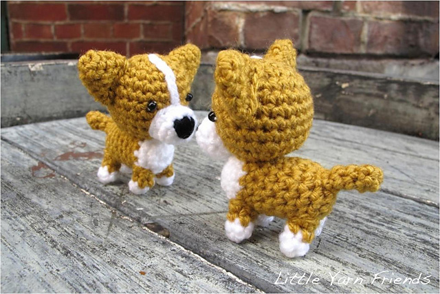 Lil' Corgi Puppy