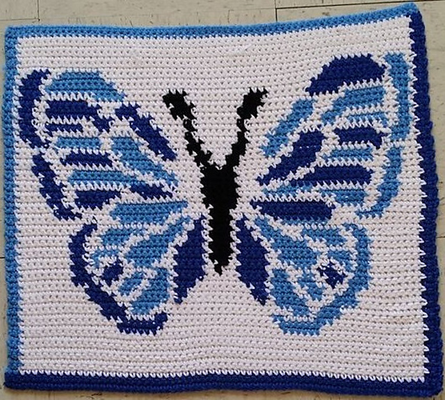 Flutter Blue Pillow 65x65