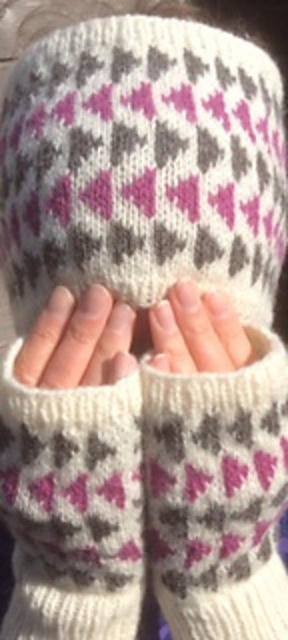 Aister Wester