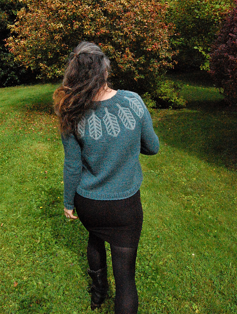 Flight Feathers