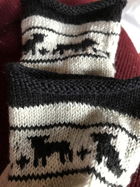 Pug Socks
