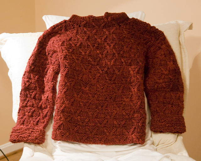 #17 Ripe Raspberry Hooded Pullover