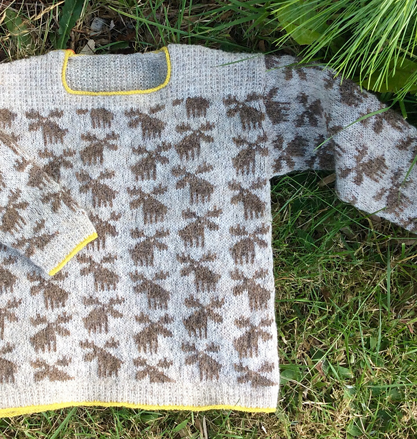 Moose for kids