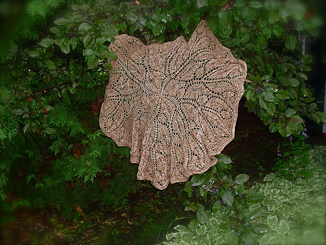 Oak Tree Shawl