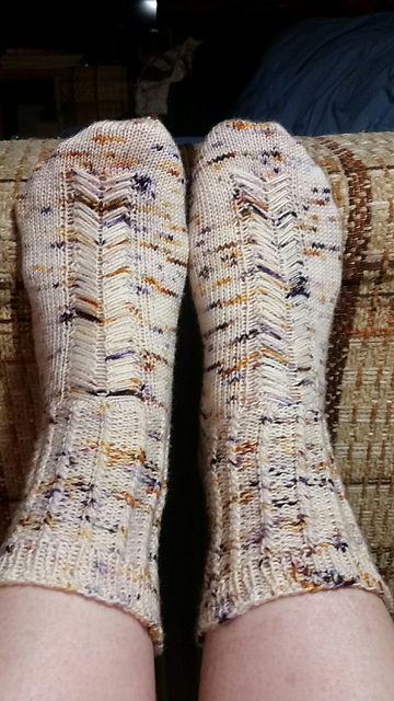 ASK Knit A Long