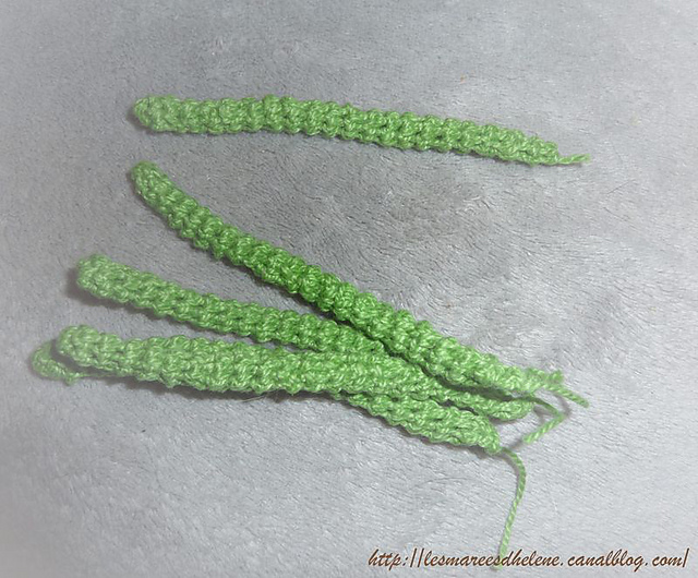 Les haricots verts ( French beans )