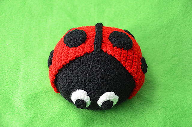 Ladybug