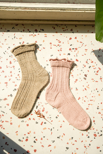 Chicorée (socks)
