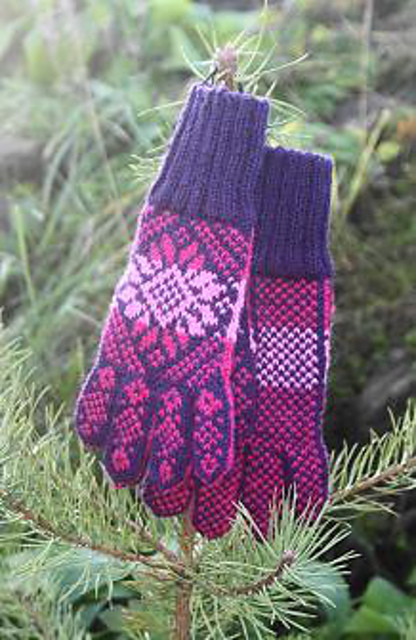 Ladies Gloves