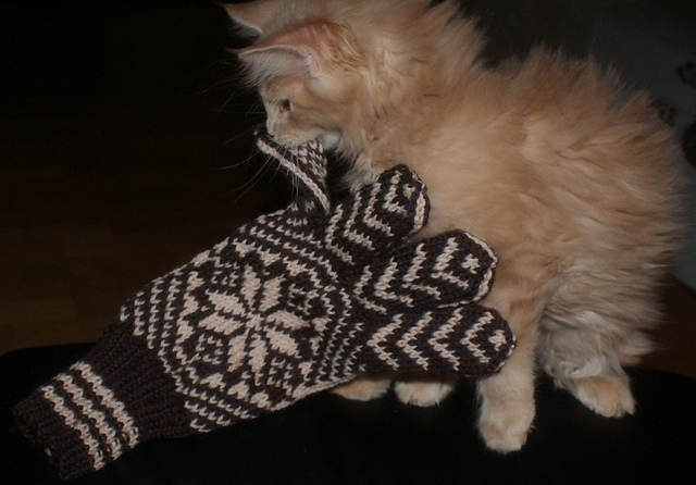 Mens gloves
