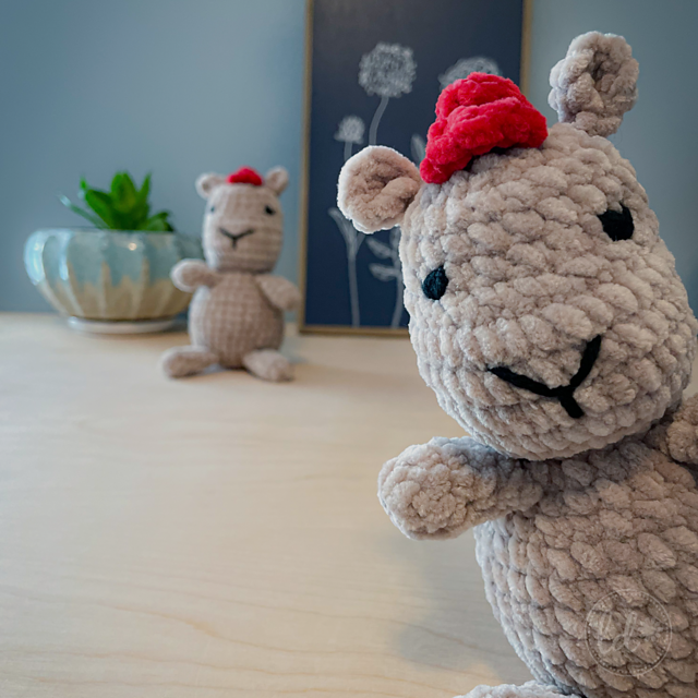 Mr Cappy the Capybara