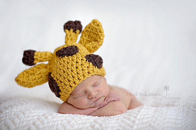 Spotty Giraffe