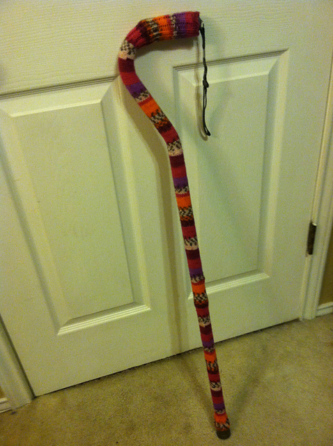 My Cane Didn't Want to Be Naked Anymore