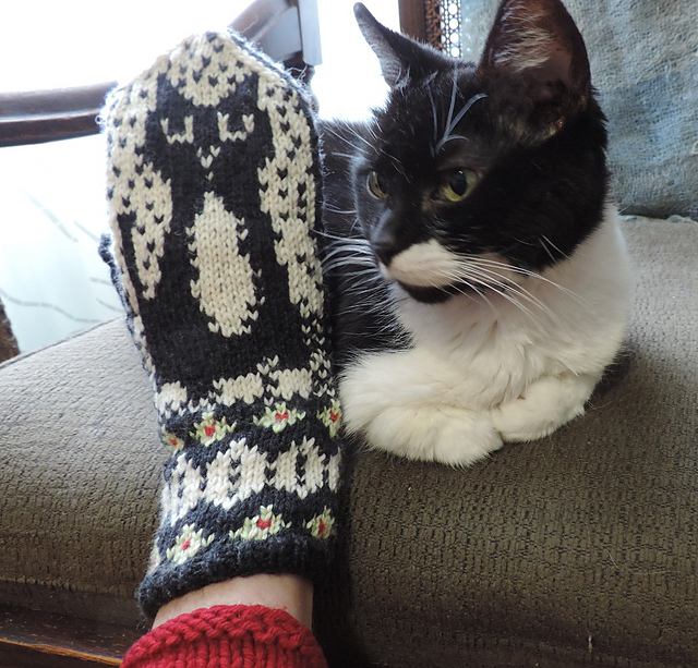 Tuxy Mittens