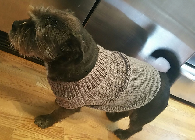 Good-Boy Gansey