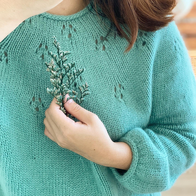Eau de pawfume Sweater