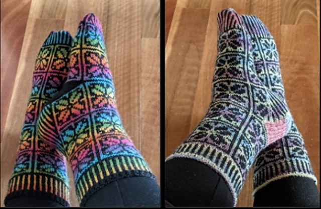 Colours Revealed Socks