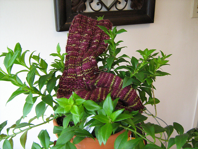 Gardener's Sock