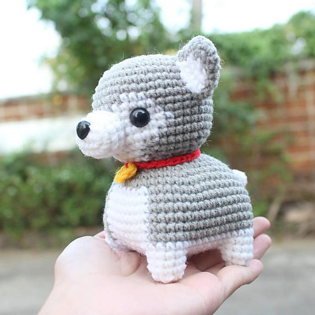 Siberian Husky