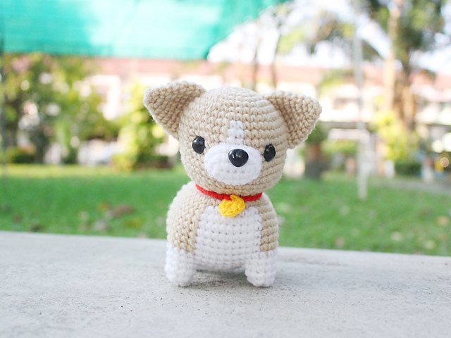 Chihuahua