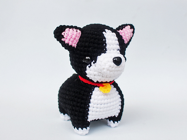 Boston Terrier